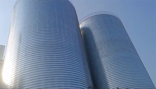 辽源2座混凝土高架卷板仓